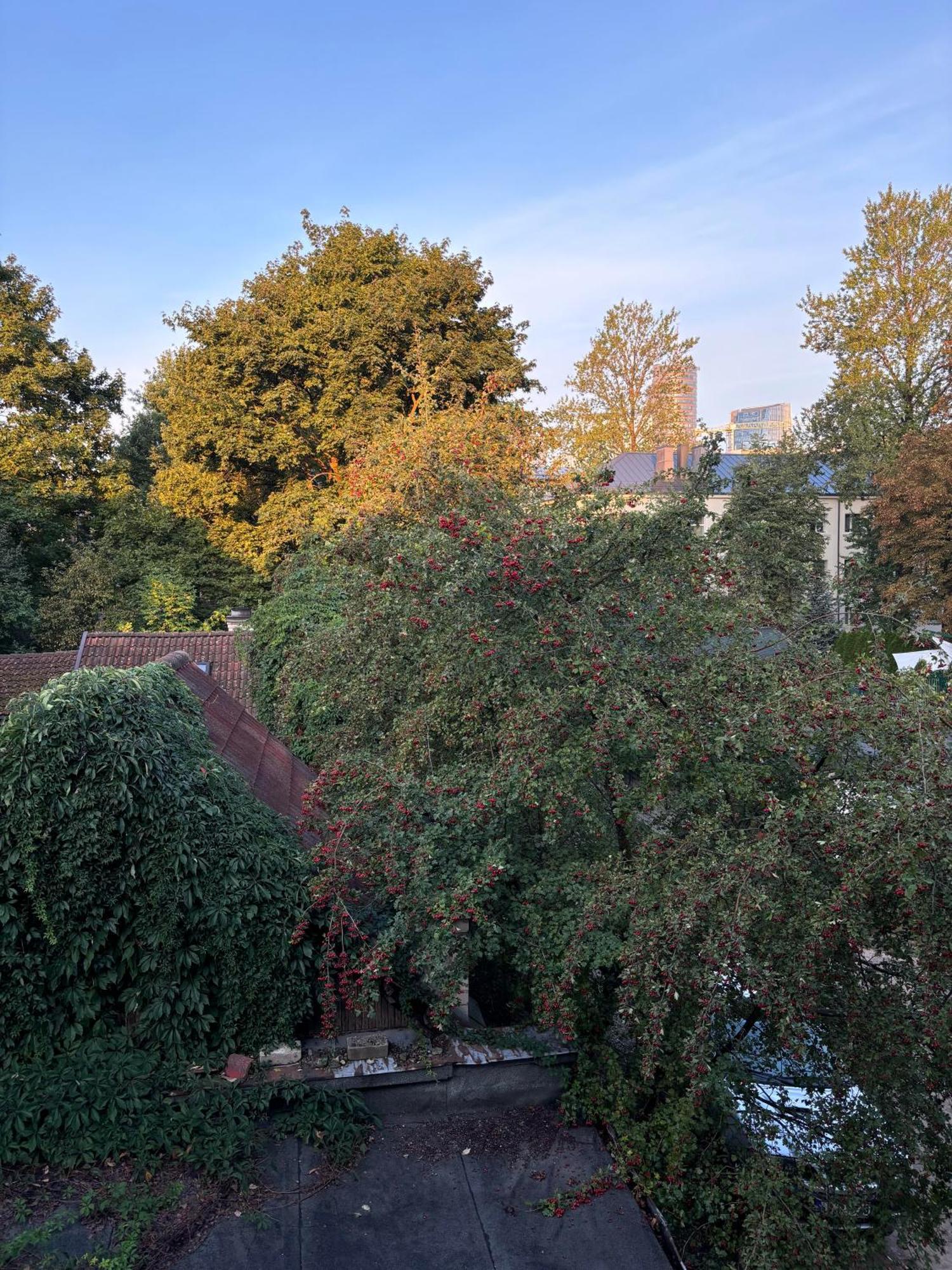 Appartamento Spacious Apartment In Historical District With Free Parking *